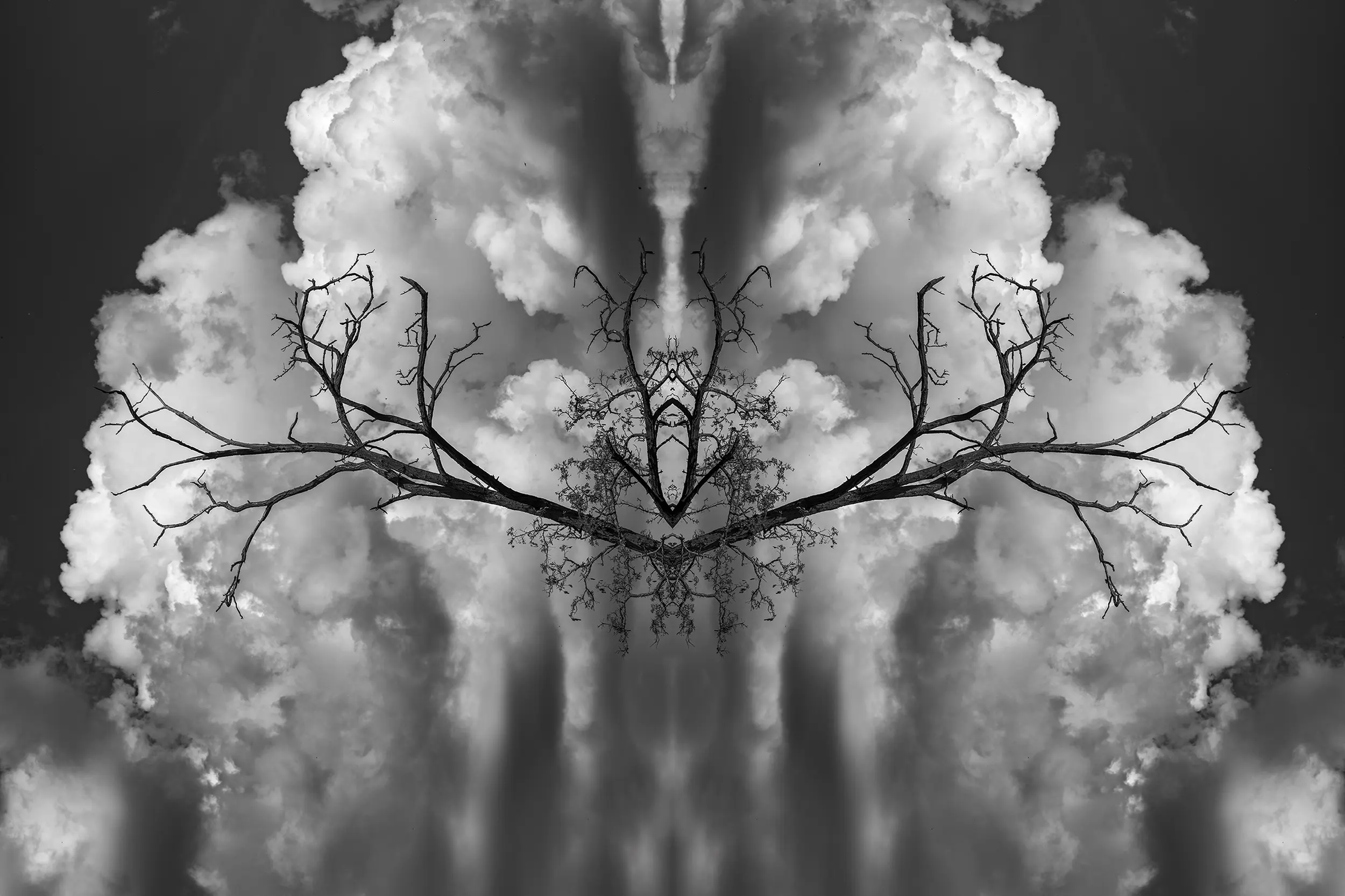 <span style="font-weight:700;font-size:1rem;">Török Máté</span><br>   <span style="font-style:italic;font-size:0.875rem;">Ég és föld – Pillangó (2025)</span><br>   <span style="font-size:0.65rem;">digitális fotó, papír</span>